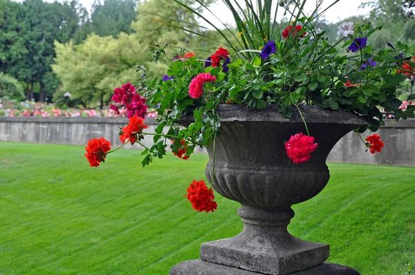 Stone Planter Gevuld Met Rode Begonias Andere Planten — Stockfoto