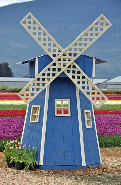 Modré větrný mlýn — Stock fotografie