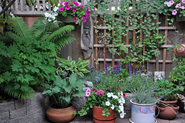 Giardino lussureggiante patio estivo — Foto Stock