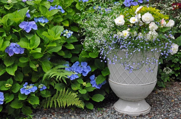 Lovely summer hydrangea garden with peony flowerpot