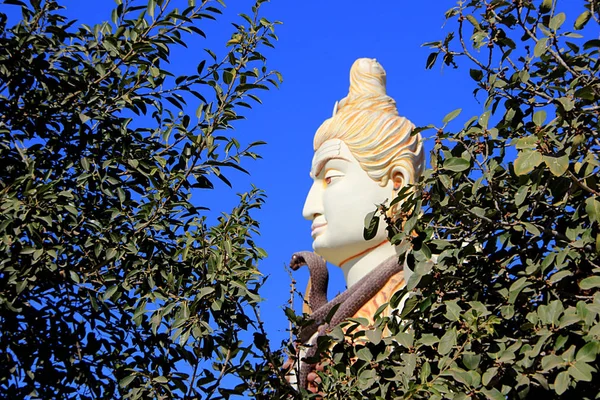 Vue Latérale Visage Shiva Temple Naganatha Jyothirlinga Près Dwaraka Gujarath — Photo