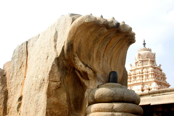 Estatua Piedra Nagalingeshwara Las Instalaciones Del Templo Veerabhadreswara Lepakshi Andhra —  Fotos de Stock