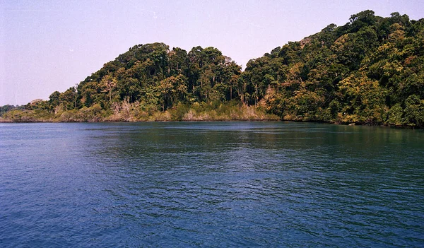 Approche Des Îles Couvertes Une Épaisse Forêt Dans Baie Bengale — Photo