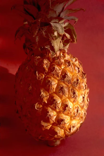 Pineapple Ananus Cosmosus Fruit Side Lighting Brown Background — Stock Photo, Image