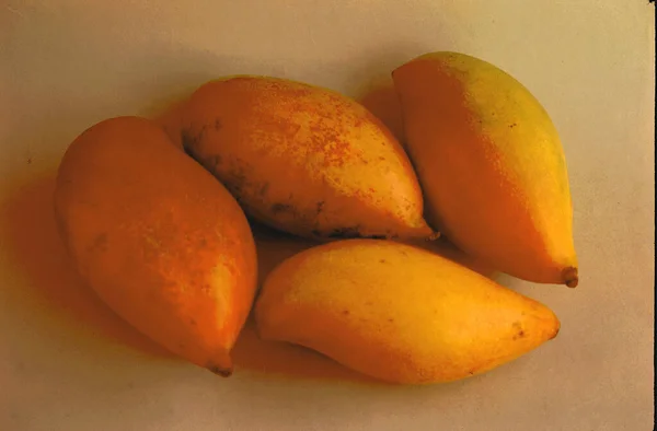 4つの熟した黄色の赤いトタプリ オウムのくちばし形 マンゴーの果実の束 Mangifera India — ストック写真
