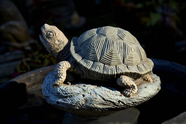 Scultura Artistica Tartaruga Terra Con Bella Conchiglia Modellata Cemento Cemento — Foto Stock