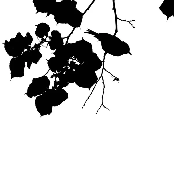 Birds Branch Summer Days Vector Illustration Black White — Stock Vector
