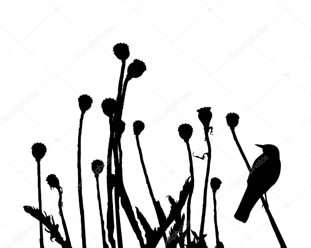 Birds on the branch during summer days - vector illustration