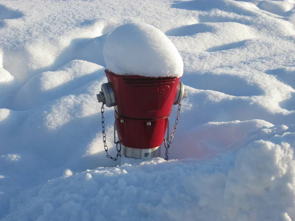 Red Fire Hydrant Snow — Stock Photo, Image