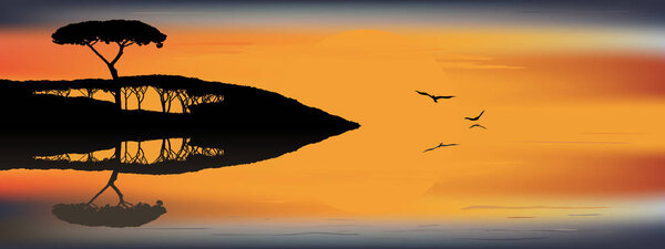 Sunset from the trees and reflect  in the water surface 