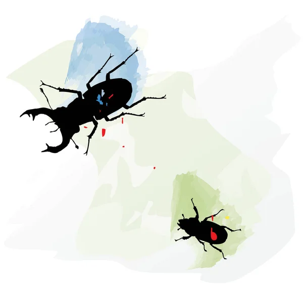 Juego Dibujado Mano Dos Escarabajos Dibujo Insectos — Vector de stock