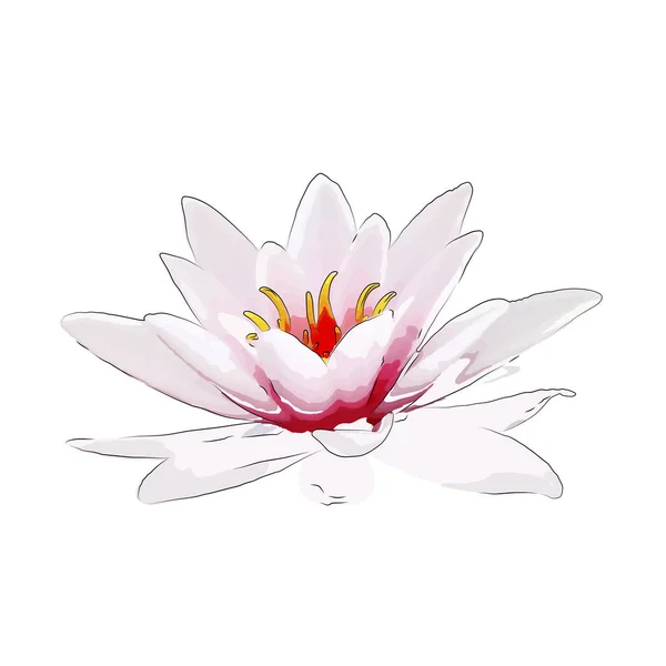 Flower on a white background isolated. Vector Illustration.