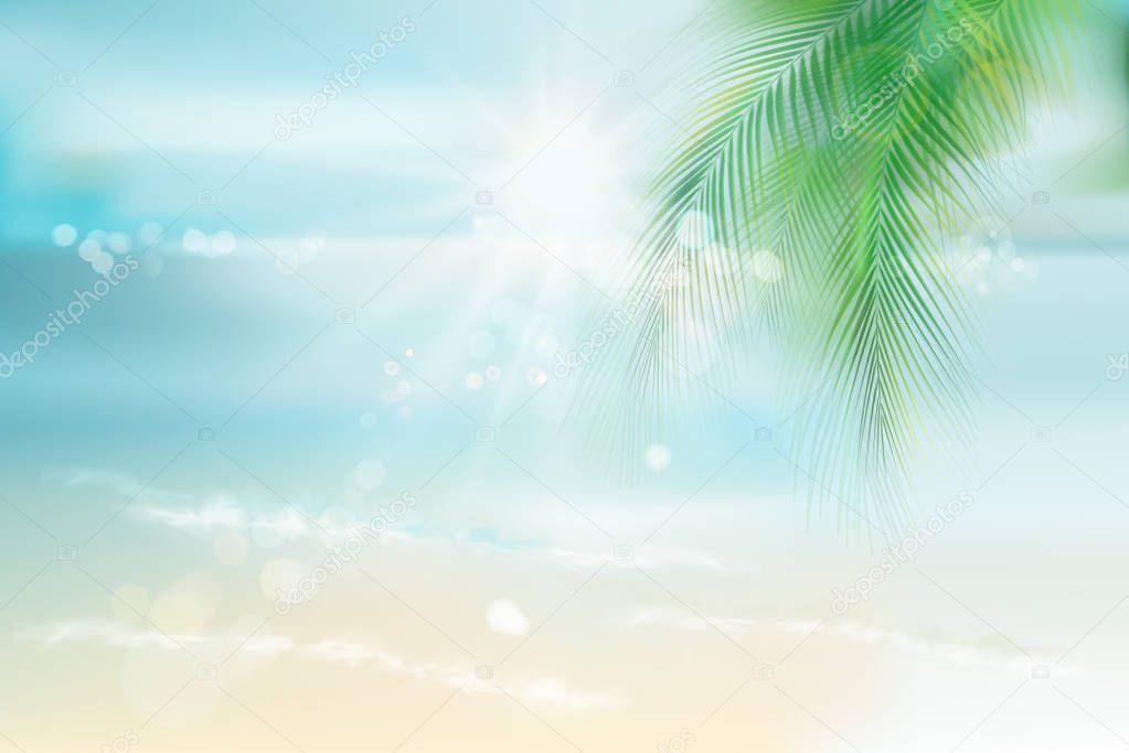 View of the sunny beach. Vector Illustration.