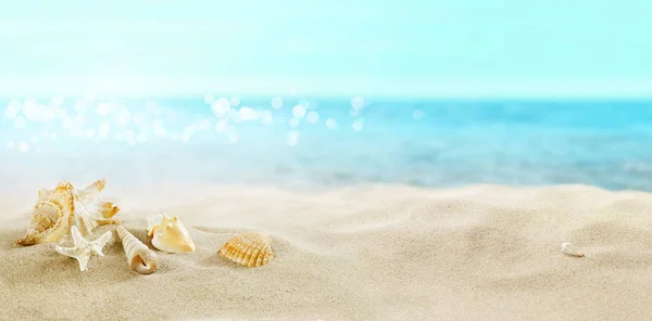 Vista Sulla Spiaggia Sabbiosa Gusci Nella Sabbia — Foto Stock
