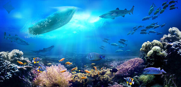 Small boat in the ocean. Underwater view. Coral reef.