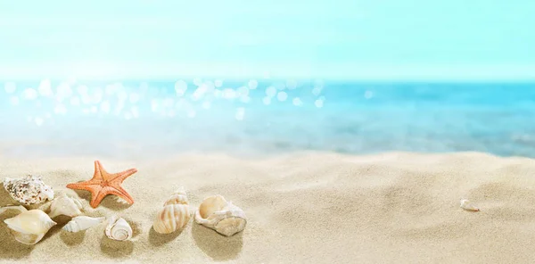 Uitzicht Het Zandstrand Schelpen Het Zand — Stockfoto