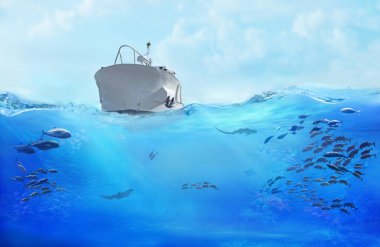 Denizde küçük bir tekne. Okyanusta büyük bir balık sürüsü. Deniz hayvanlarıyla dolu sualtı dünyası.