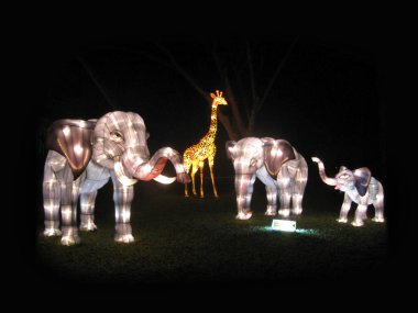 Gece parkında çeşitli fenerler süsleyin