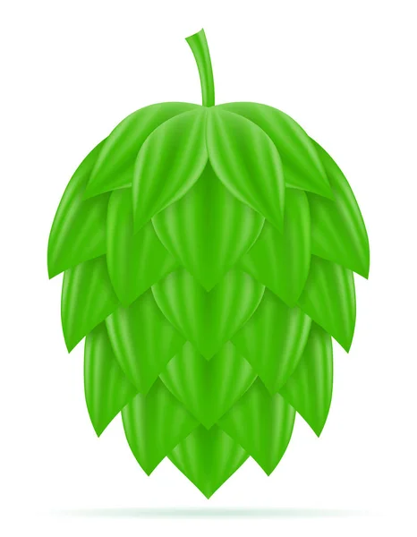 Houblon mûr et bière verte préparation ingrédient vecteur illustrat — Image vectorielle