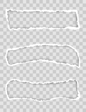 saydam boşluk şablonu ve metin vektör illüstrasyonu için yeri olan tasarım için yırtık kağıt kenarı