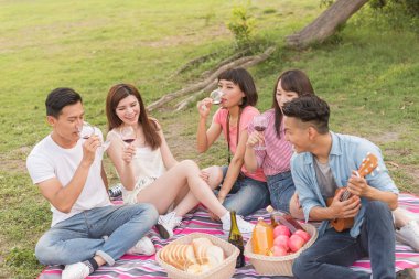 Asya insanlar bir piknik ile şarap almak