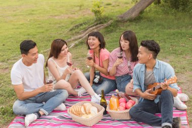Asya insanlar bir piknik ile şarap almak