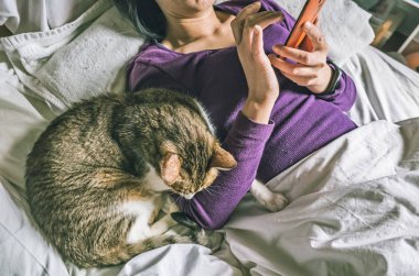 yatakta onun kedisi ile cep telefonu kullanan kadın
