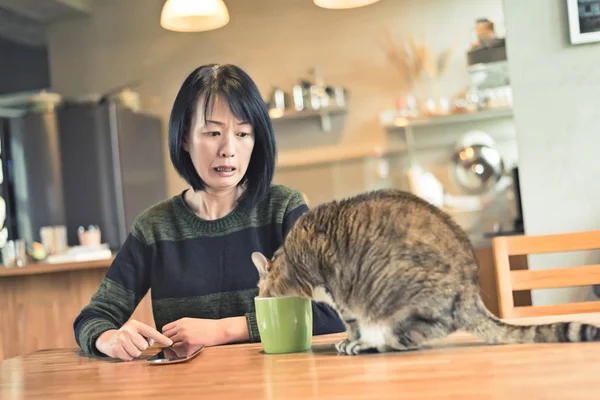 Vrouw Zoek Naar Haar Kat Drinkt Water Thuis — Stockfoto