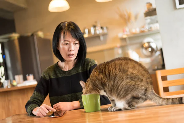Vrouw Zoek Naar Haar Kat Drinkt Water Thuis — Stockfoto
