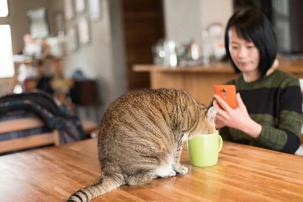 Donna Guardando Suo Gatto Bere Acqua Casa — Foto Stock