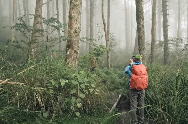 登山者走在森林薄雾中的小路上 — 图库照片