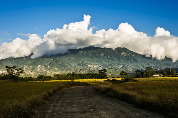 Paisaje Rural Con Arrozal Dorado Luye Taitung Taiwán Asia — Foto de Stock