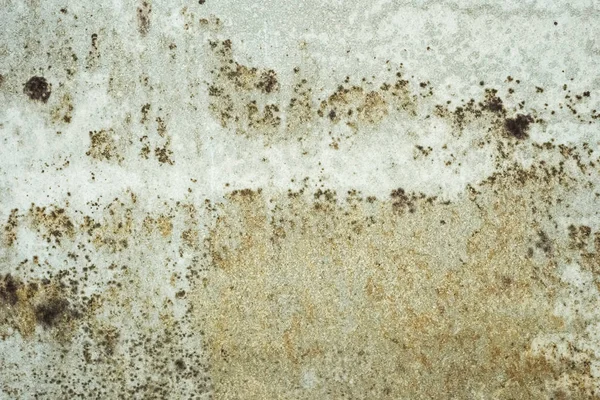 Küflenmiş Duvar Arkaplanı Kirli Beton Duvarın Grunge Dokusu — Stok fotoğraf