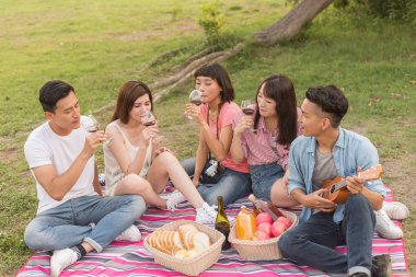 Asya insanlar bir piknik ile şarap almak