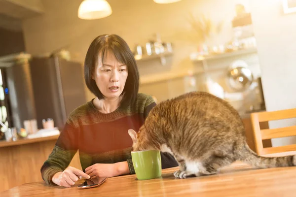 看着她的猫在家喝水的女人 — 图库照片