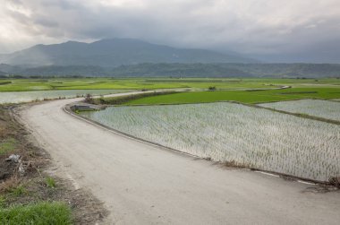 gruptaki bir yol ile kırsal manzara