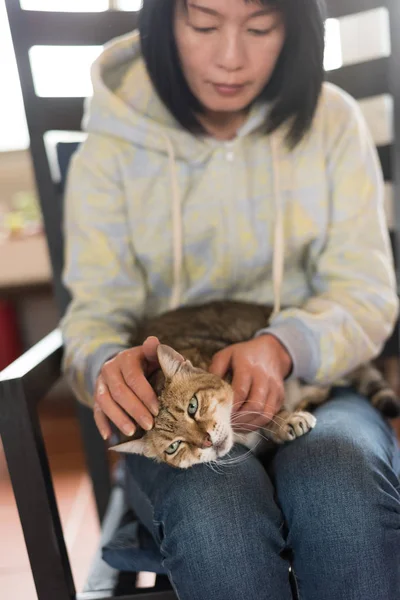 Vrouw Met Haar Oude Kat Het Huis — Stockfoto