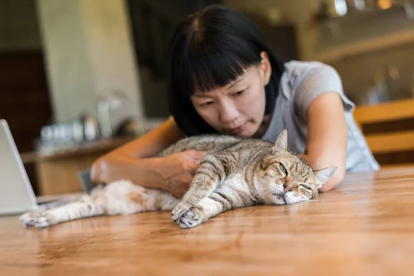 Asiatico Donna Matura Toccare Suo Gatto Casa — Foto Stock