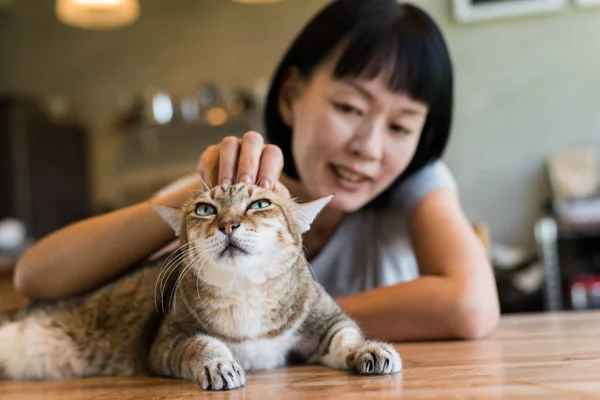 Asiatico Donna Matura Toccare Suo Gatto Casa — Foto Stock