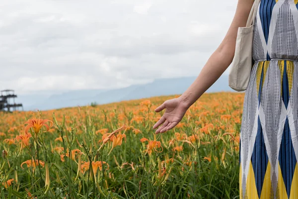 Nahaufnahme Bild Der Frau Hand Berühren Die Blume Auf Dem — Stockfoto