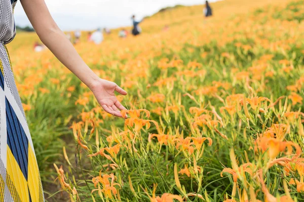 女性の手のクローズ アップ画像タッチ ファームの花 — ストック写真