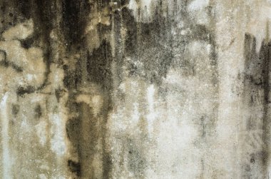 küflenmiş duvar arkaplanı, kirli beton duvarın grunge dokusu