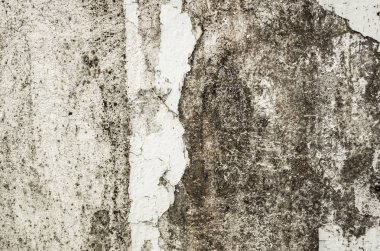 küflenmiş duvar arkaplanı, kirli beton duvarın grunge dokusu