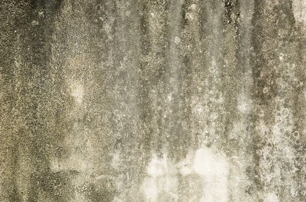 Fondo Della Parete Muffa Grunge Texture Del Muro Cemento Sporco — Foto Stock