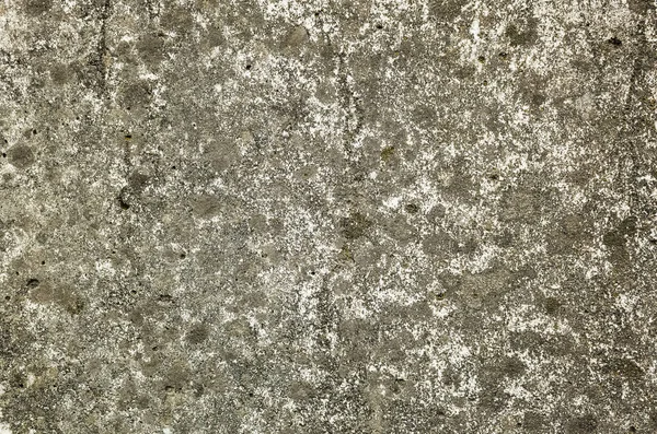 Плесени Стены Фона Гранж Текстуры Грязной Цементной Стены — стоковое фото