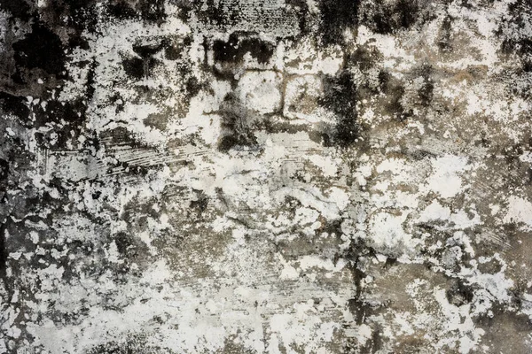 发霉的墙体背景 肮脏水泥墙的磨擦纹理 — 图库照片