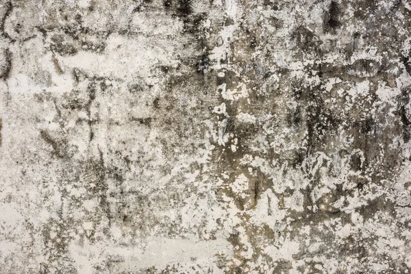 küflenmiş duvar arkaplanı, kirli beton duvarın grunge dokusu
