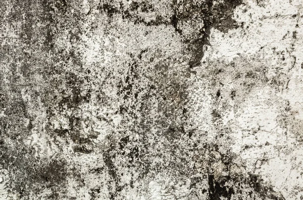 Beschimmelde Muur Achtergrond Grunge Textuur Van Vuil Cement Muur — Stockfoto