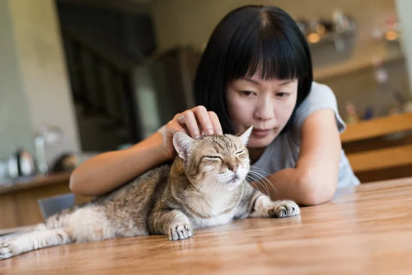 Asijské Starší Žena Dotknout Její Kočka Doma — Stock fotografie