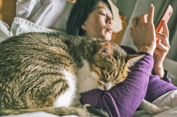 Woman Using Cellphone Bed Her Cat — Stock Photo, Image